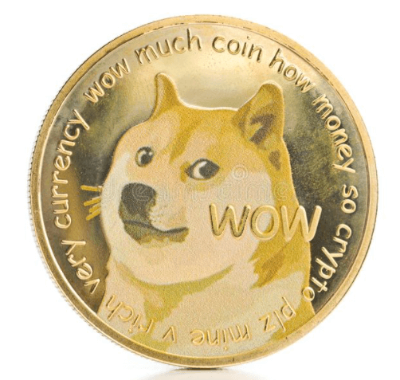 도지(DOGE) 코인의 역사 배경 특징 투자전망