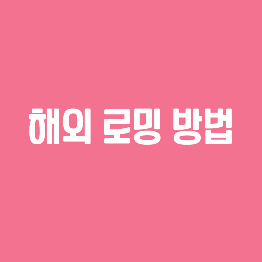 해외 로밍 방법
