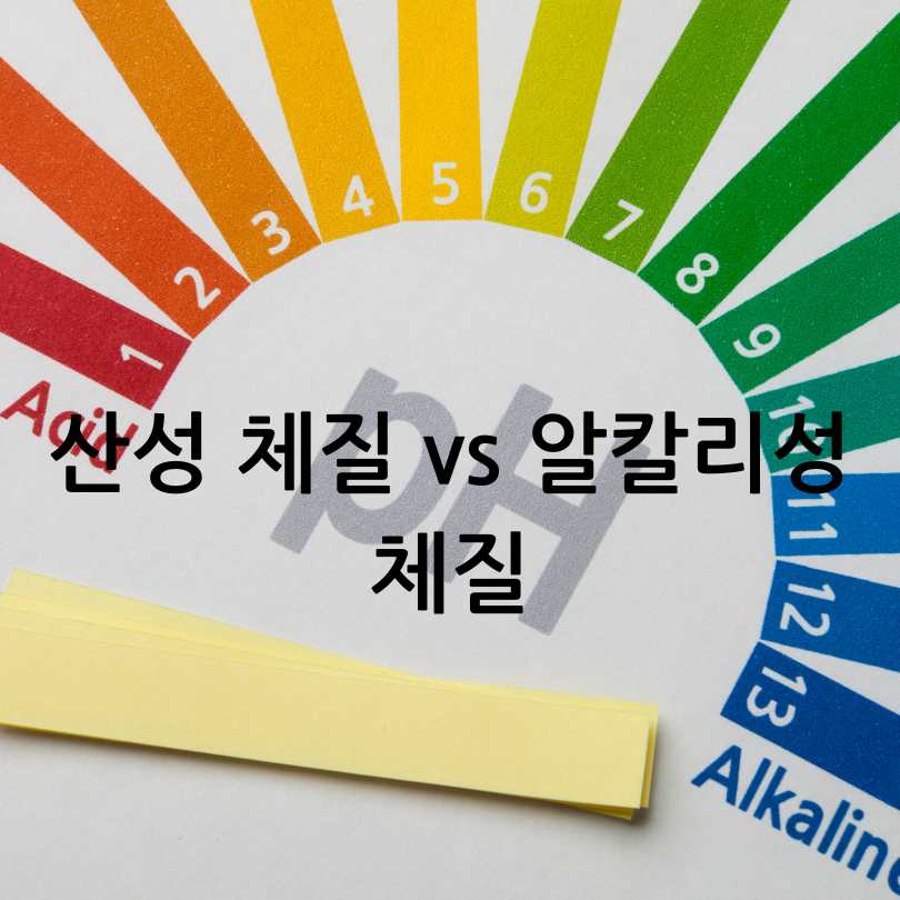 산성 독소가 노화와 체중에 끼치는 악영향