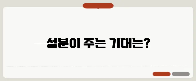 유진페르마 샴푸 성분 분석 및 효과 리뷰