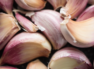 마늘 파종시기와 거름 주는 방법 알아볼까요 1