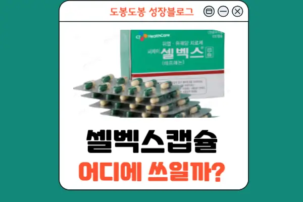 셀백스캡슐 처방 질병 내용 안내 이미지