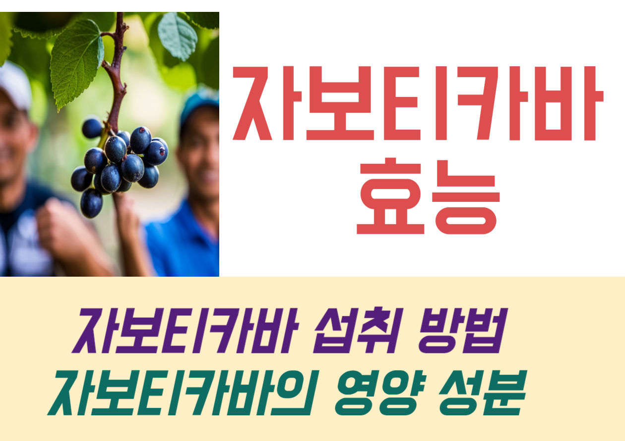 자보티카바 효능과 섭취방법! 이렇게 활용해 보세요! 안녕하세요, 건강을 사랑하는 여러분! 오늘은 세계적으로 주목받는 슈퍼푸드, 자보티카바에 대해 이야기해볼까 합니다. 이 작고 신비로운 과일은 브라질의 숲속에서 자라며, 그 매력적인 효능으로 인해 전 세계 사람들의 관심을 받고 있어요. 자보티카바는 어떤 과일이며, 우리 건강에 어떤 이점을 가져다줄까요? 함께 알아보도록 해요.