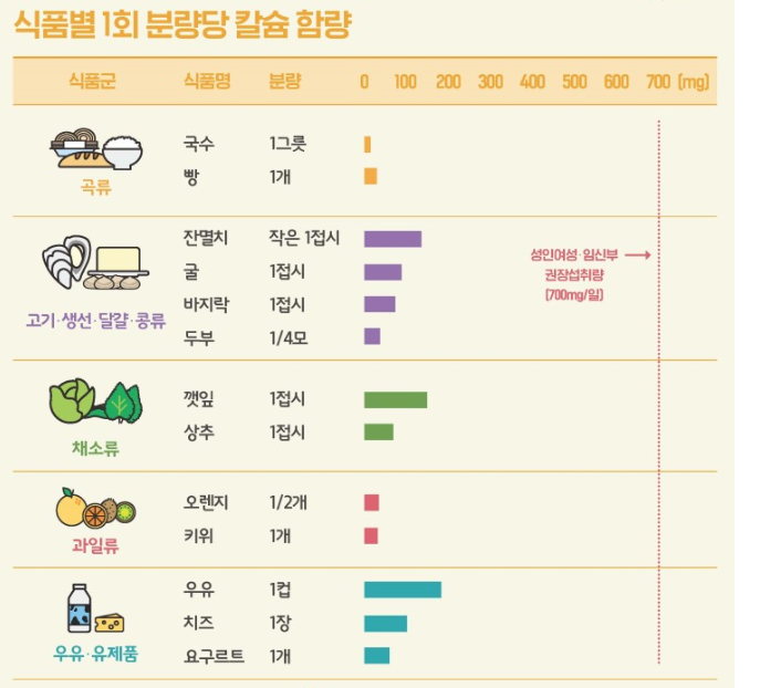 임신 중기 칼슘