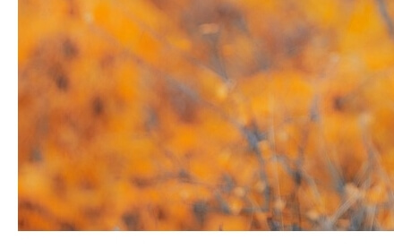 근로자휴가지원