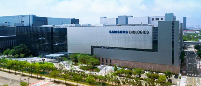 기업가치 및 향후 성장기대