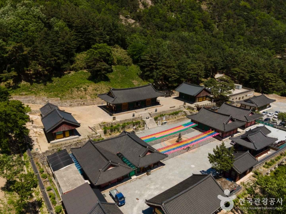 [강원도 여행지 추천] 동해 가볼만한 곳 베스트 10 삼화사