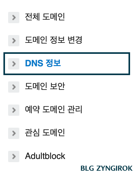 도메인-관리페이지-메뉴바-모습이다.-DNS-정보를-선택한다.