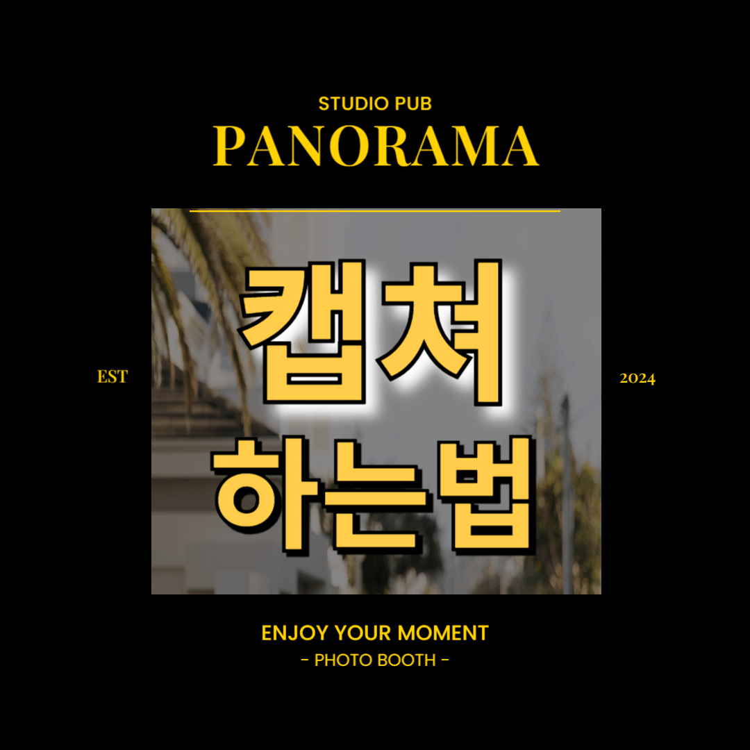 컴퓨터 캡쳐하는법