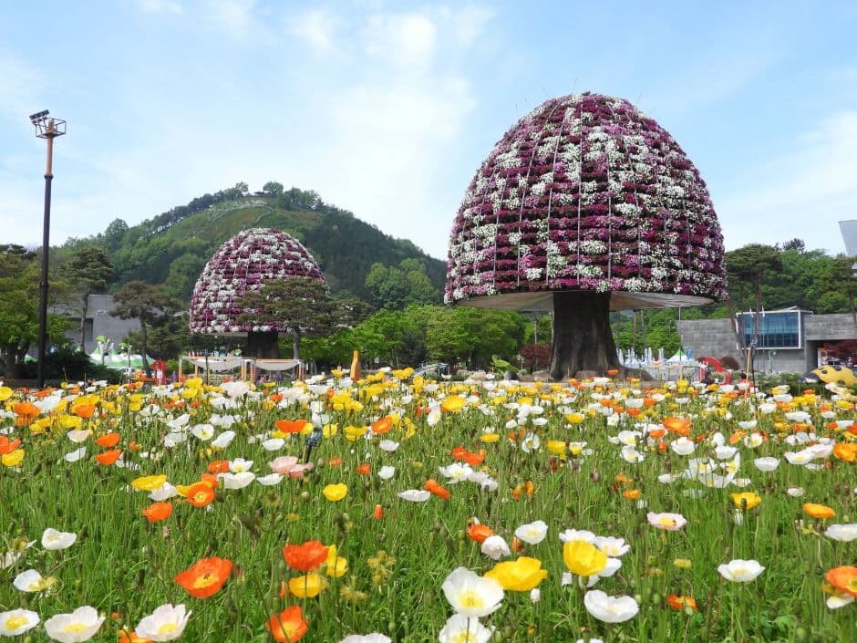 [4월 축제]2025 함평나비대축제｜일정, 기간, 입장권 예매 할인, 입장권 예약 이벤트, 공연, 체험프로그램 총정리