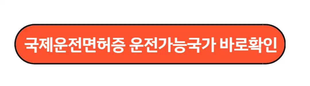 국제운전면허증 운전가능국가 확인