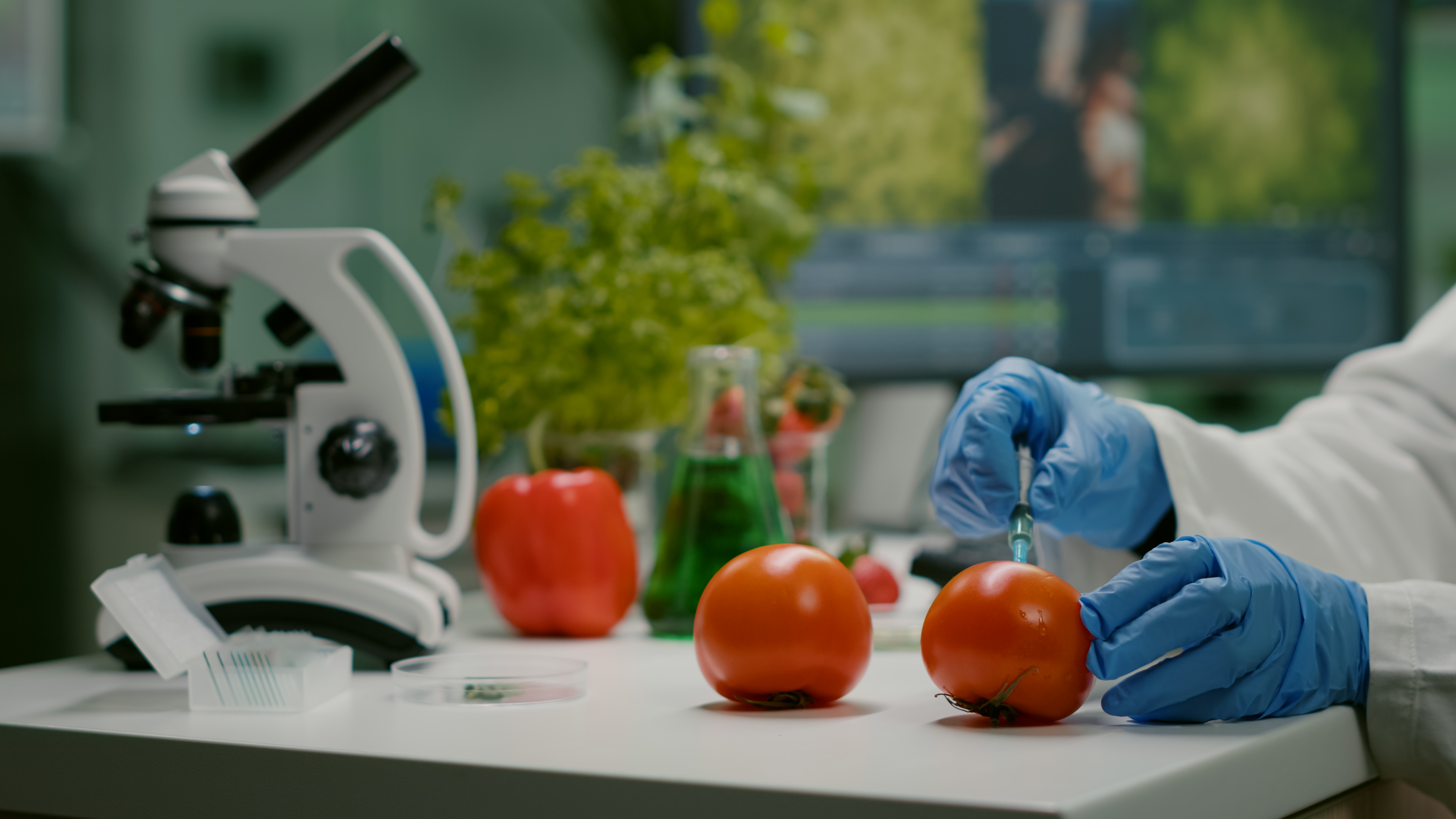 GMO 표시제도 2026