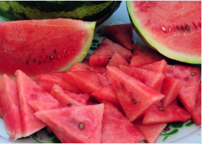 수박껍질 분리수거 하는 법