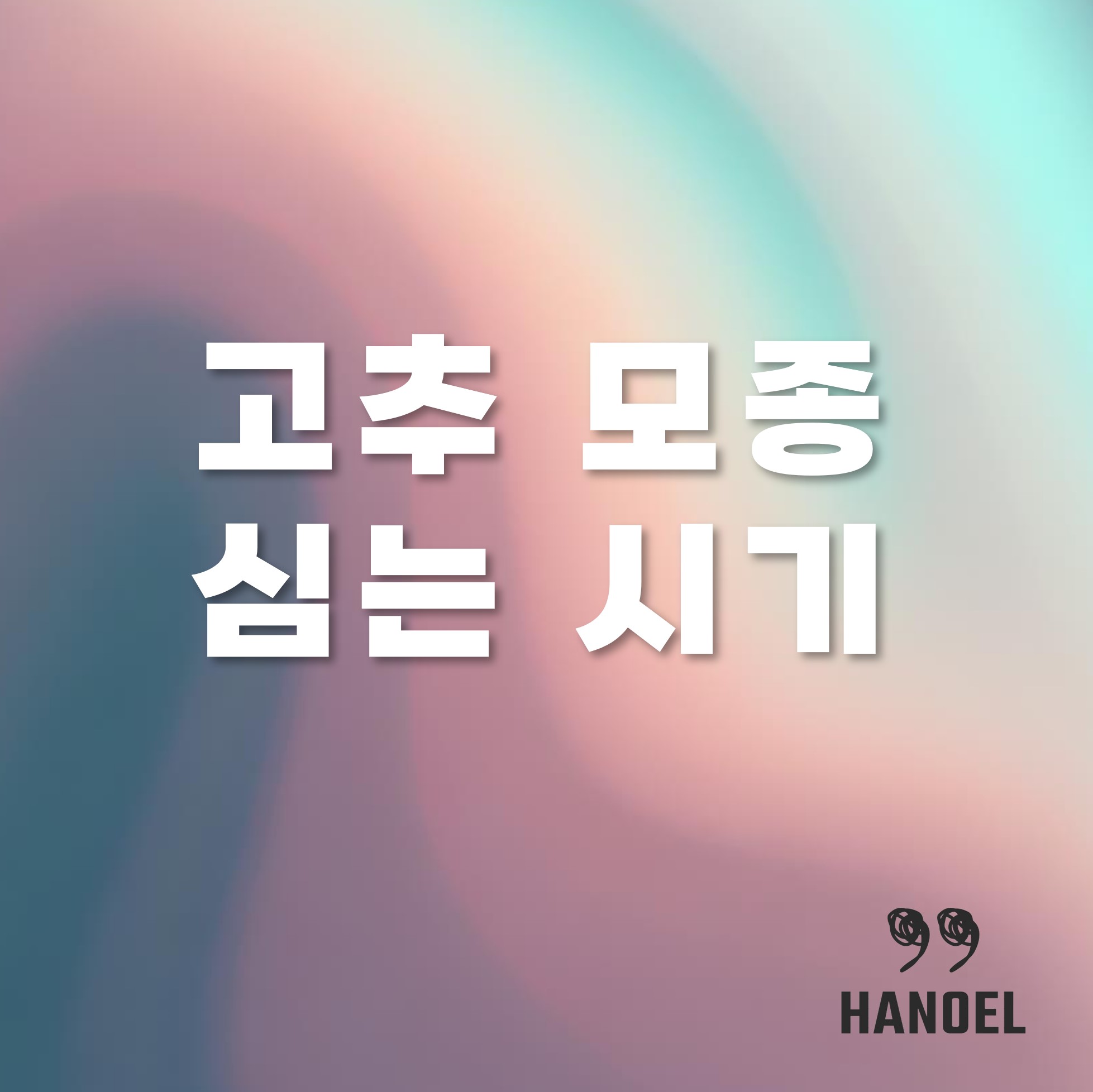 고추모종심는시기 텍스트
