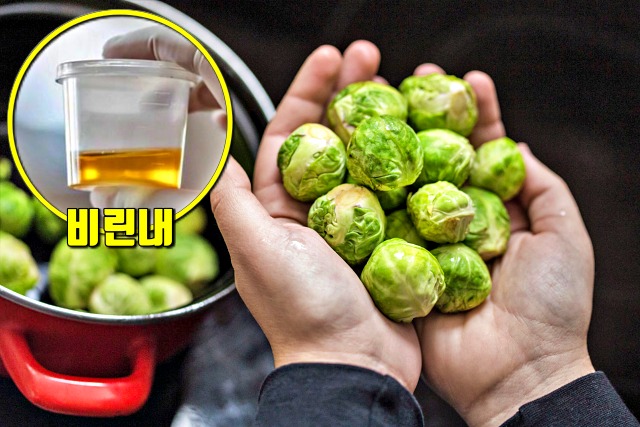 소변에서 냄새가 나는 이유 비린내 미니양배추, 건강 팁줌