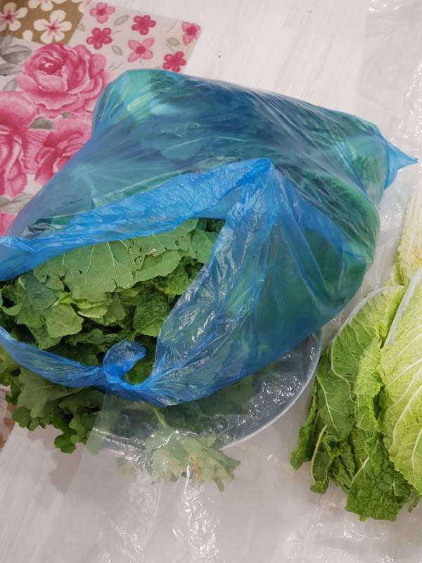 재래시장에서 구매하니, 저런 파란 비닐봉투 큰거에 김장배추 담아주심