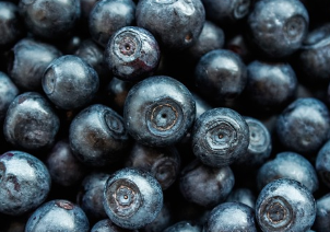 강아지 보양식 재료 추천 및 간단하게 만드는 방법 2가지