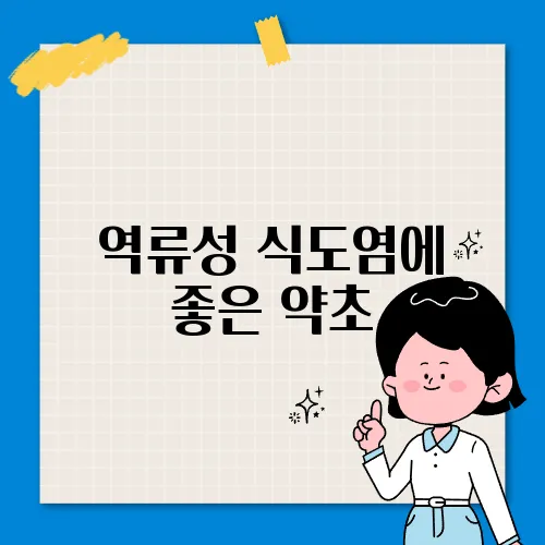 역류성 식도염에 좋은 약초