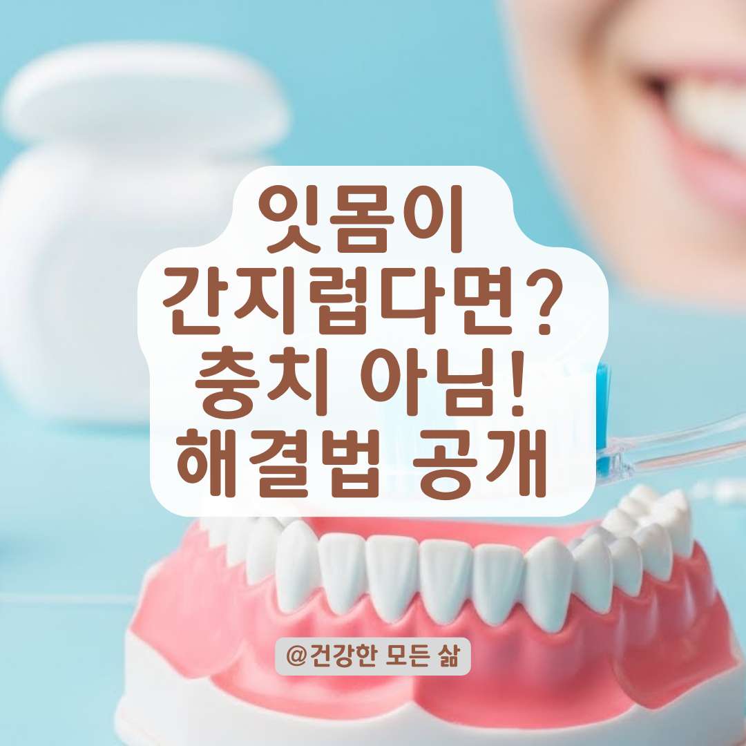 치아가 시리지 않고 가렵다면? 잇몸 염증 신호와 셀프 관리법 총정리.