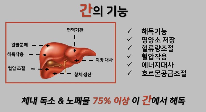 간기능-저하-신체증상