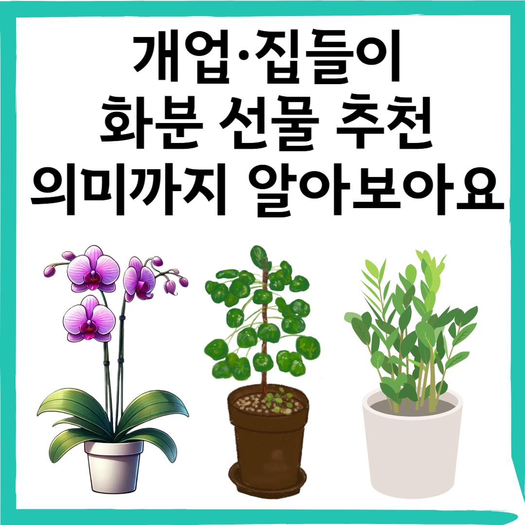 개업&middot;집들이 화분 선물 추천! 의미까지 담은 식물 Best 6 &amp; 키우는 법 총정리