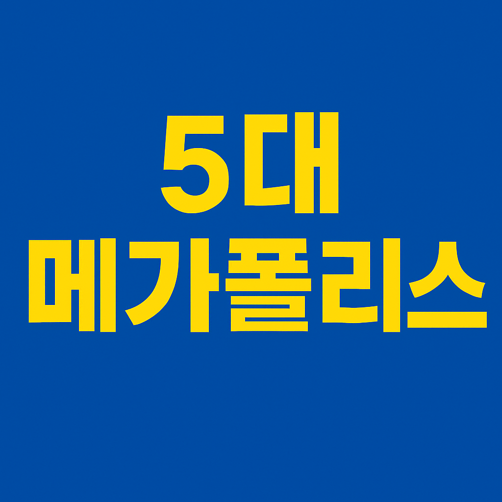 5대 메가폴리스