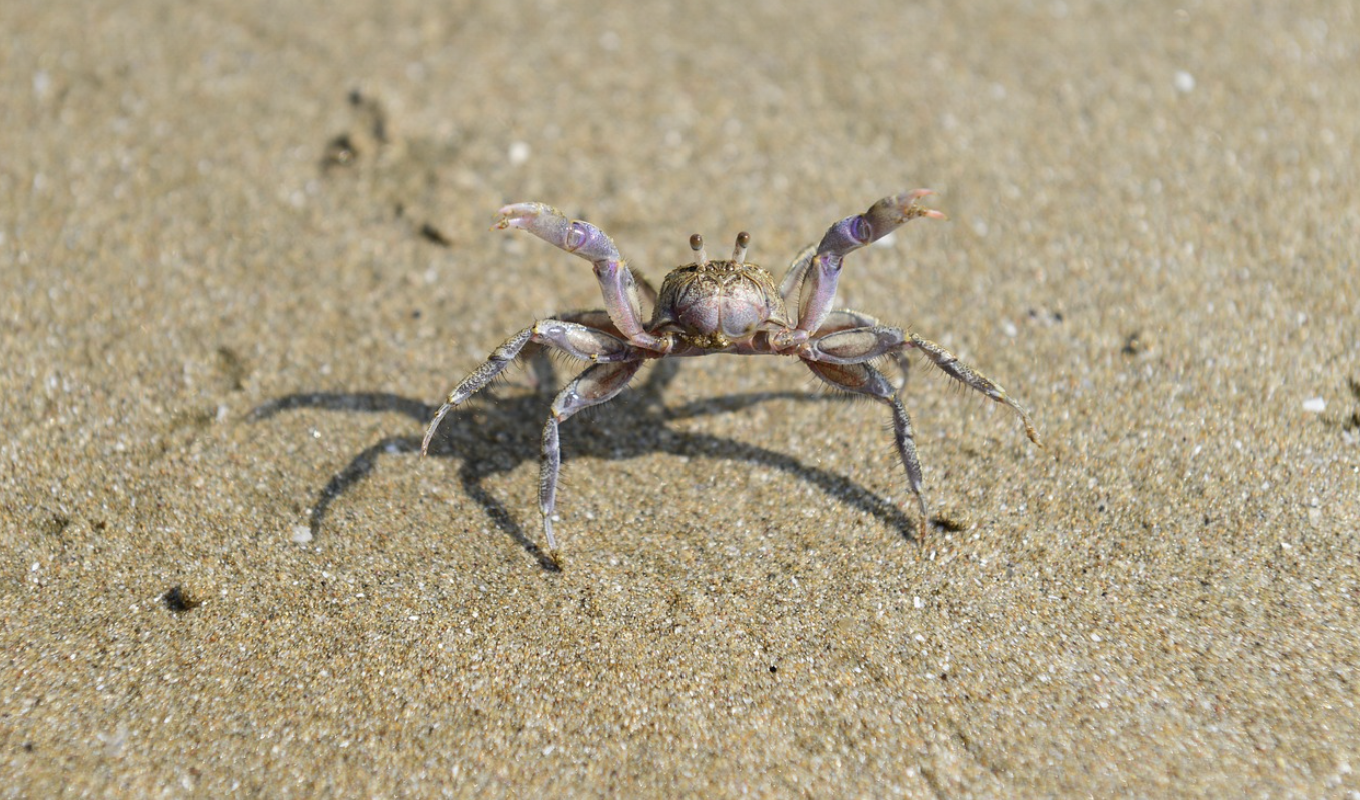 아이랑-함께-해수욕장-사진
