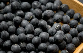 서리태 효능, 국산 서리태 1kg가격