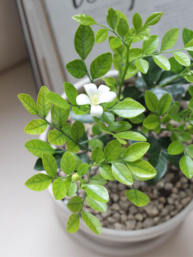 아직도 계속 사용하고 있다면 암&middot;생식기능 저하 유발&hellip;&amp;quot;침실서 당장 바꾸세요&amp;quot;