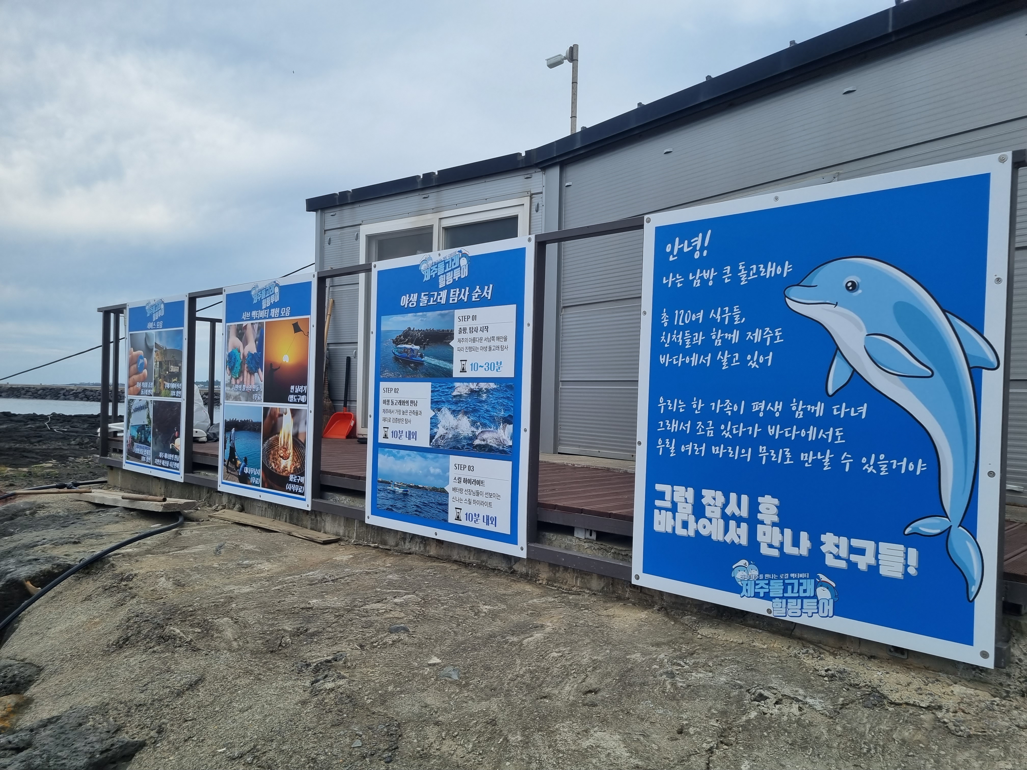 제주돌고래 힐링투어