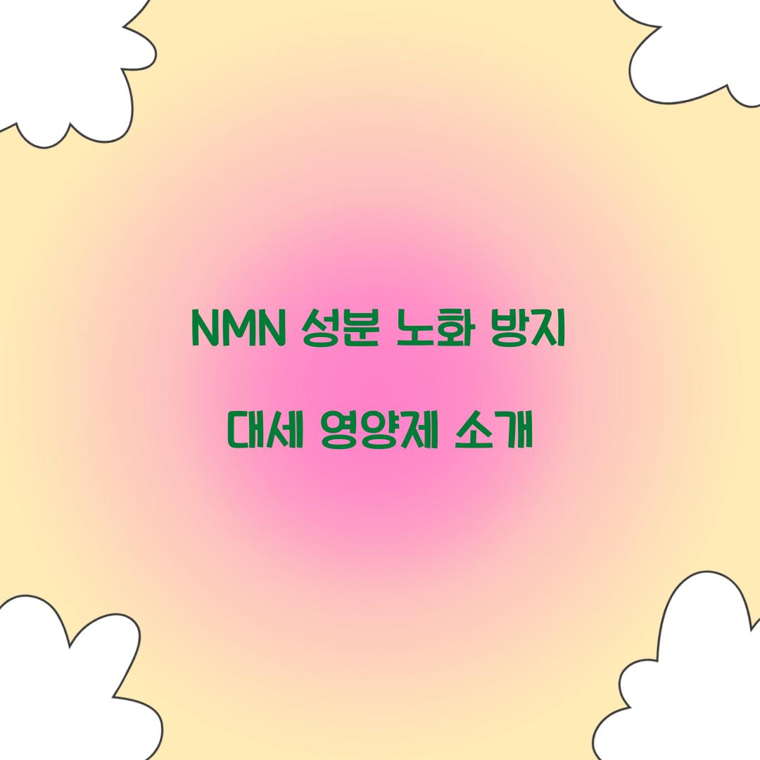 NMN 성분 노화 방지