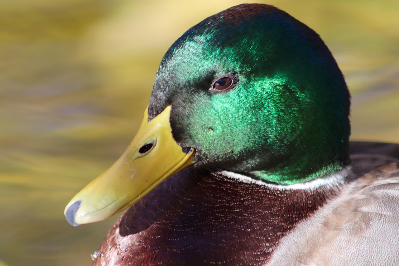 보청기 국가보조금 지원
