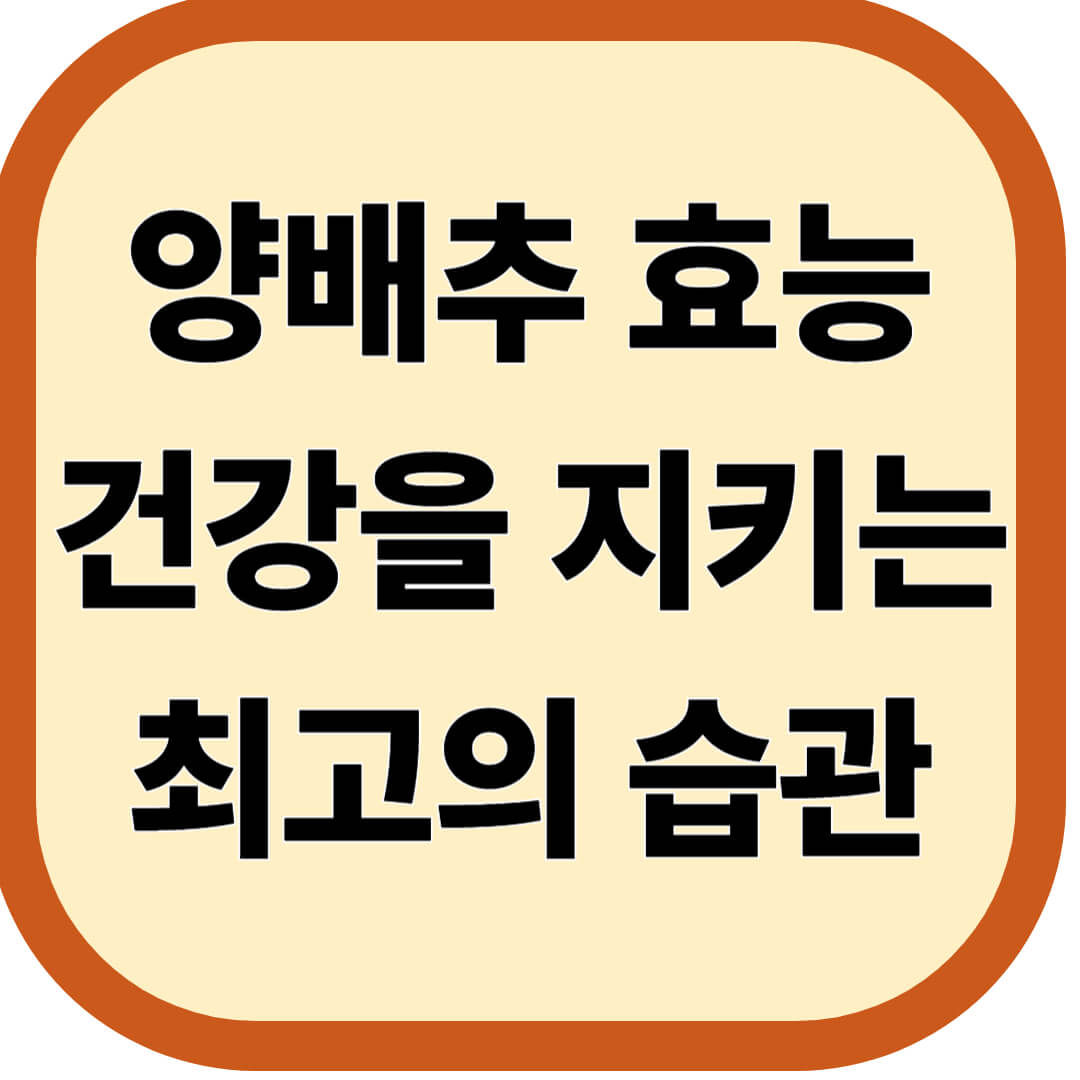 양배추 효능