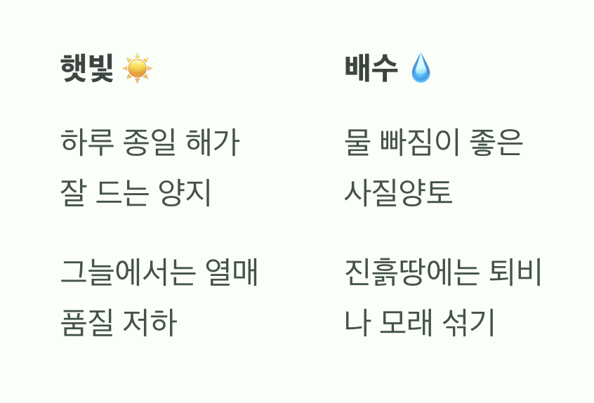 복분자가 좋아하는 땅, 햇빛과 배수
