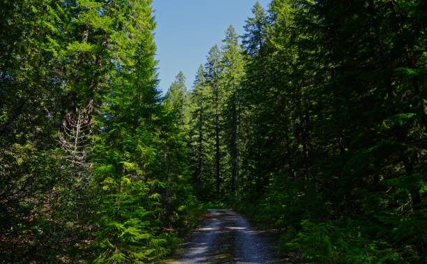 국립자연휴양림-예약-꿀팁