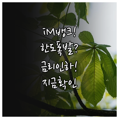 iM뱅크 시중은행 전환 마이너스통장 ..