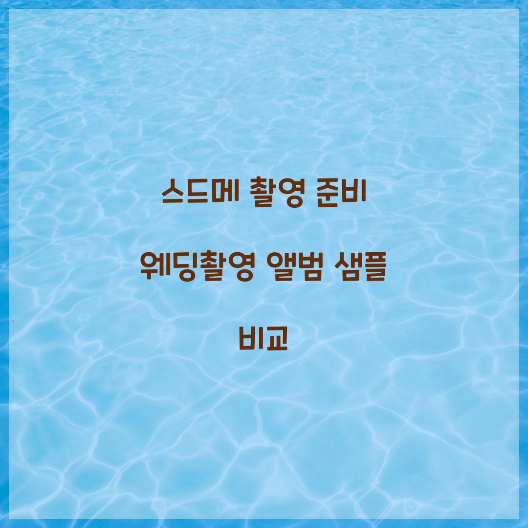 스드메 촬영 준비 웨딩촬영 앨범 샘플 비교 