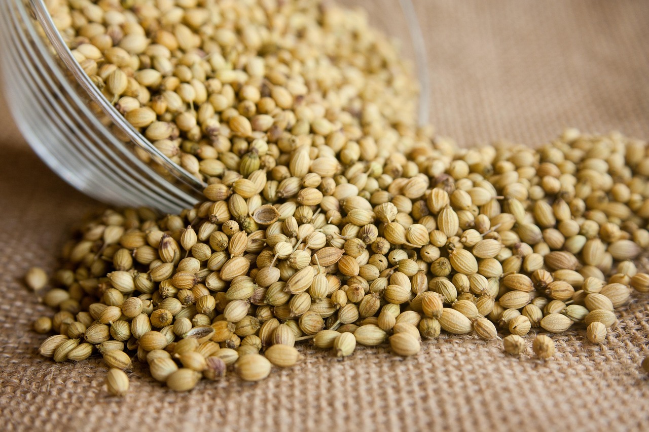 Coriander Seed