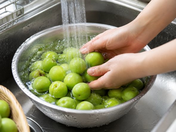 매실 수확시기