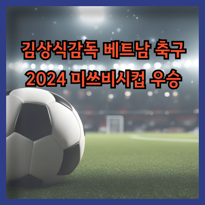 김상식감독 베트남 축구2024 미쓰비시컵 우승