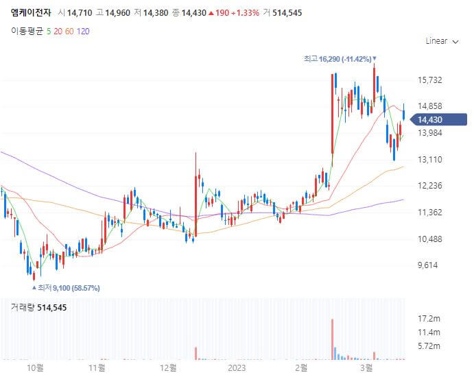 K칩스법 관련주