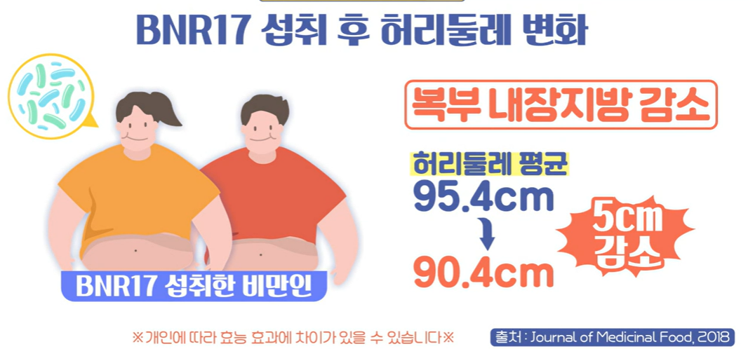 bnr17유산균 효능