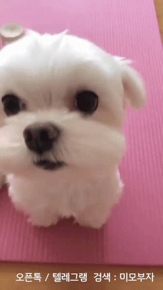 경제뉴스 부동산뉴스 8월 29일