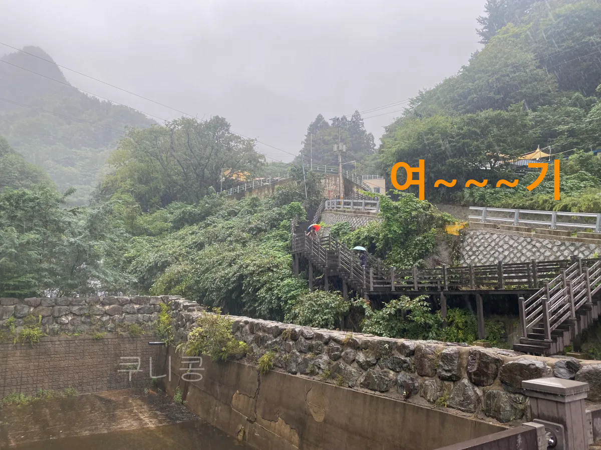 울릉도-추석가족여행-2일차-봉래폭포-입장료할인-주차정보-등산-난이도