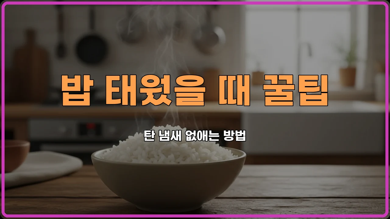 탄밥살리기