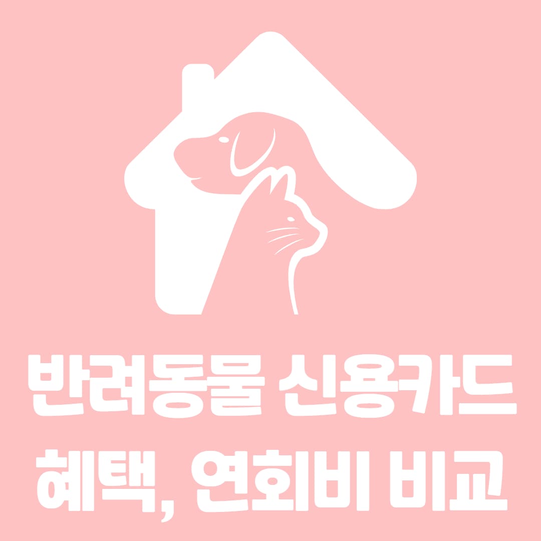 고양이 강아지 반려동물 관련 신용카드 혜택 연회비 비교