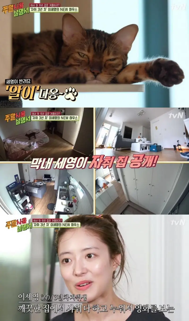 이세영과 반려묘 알이