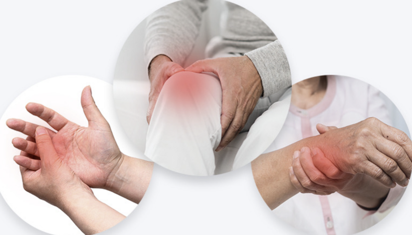 콘드로이친-1200mg-효능