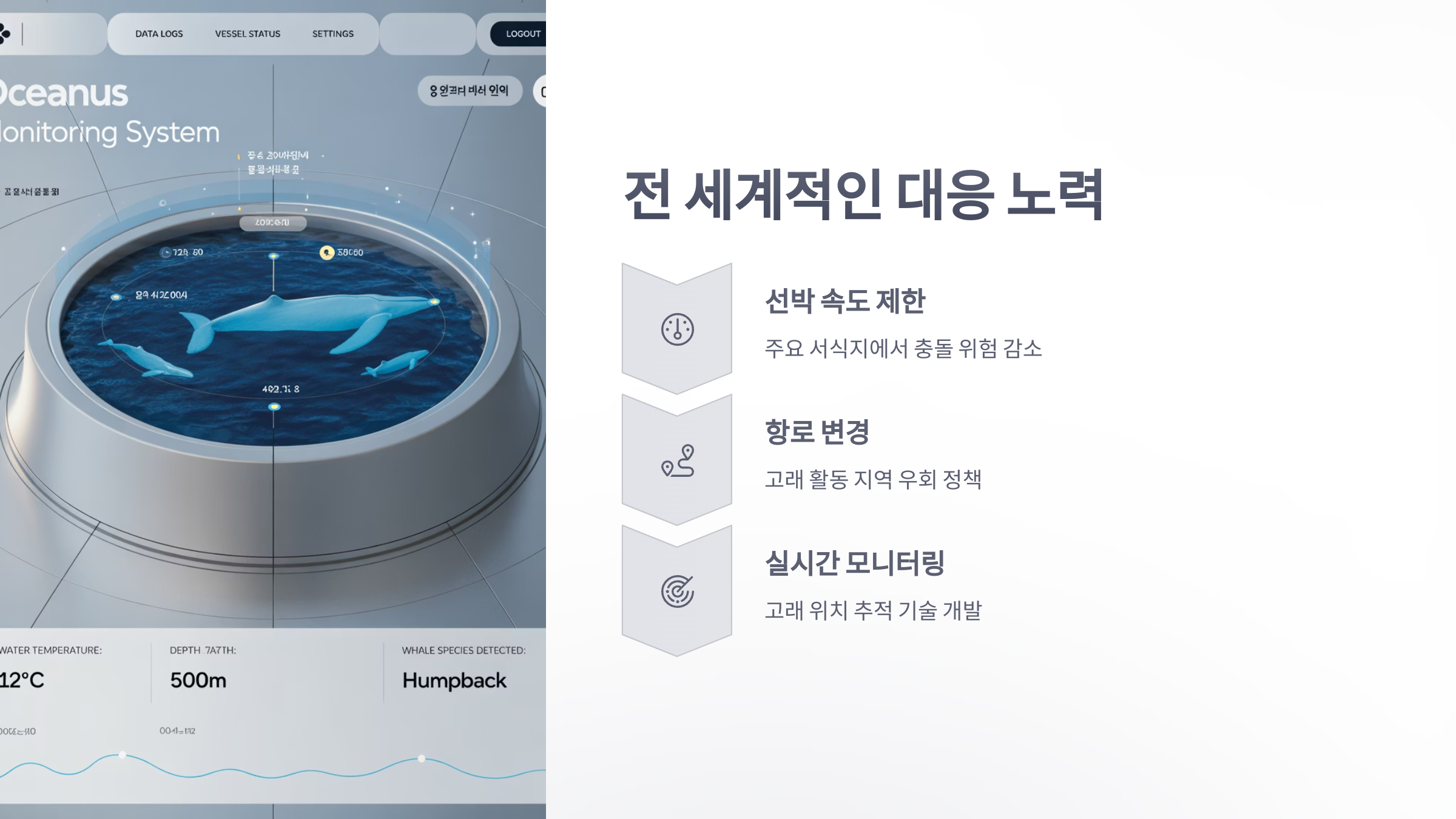 참조-충돌,-혹등고래가-숨지는-주요원인-4
