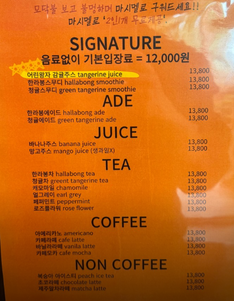 오늘n 동물카페 제주어린왕자 감귤밭